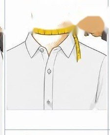 Neck measurement